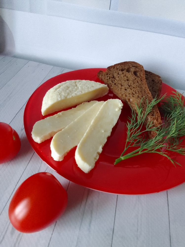 Рецепт домашнего сыра из молока и сметаны