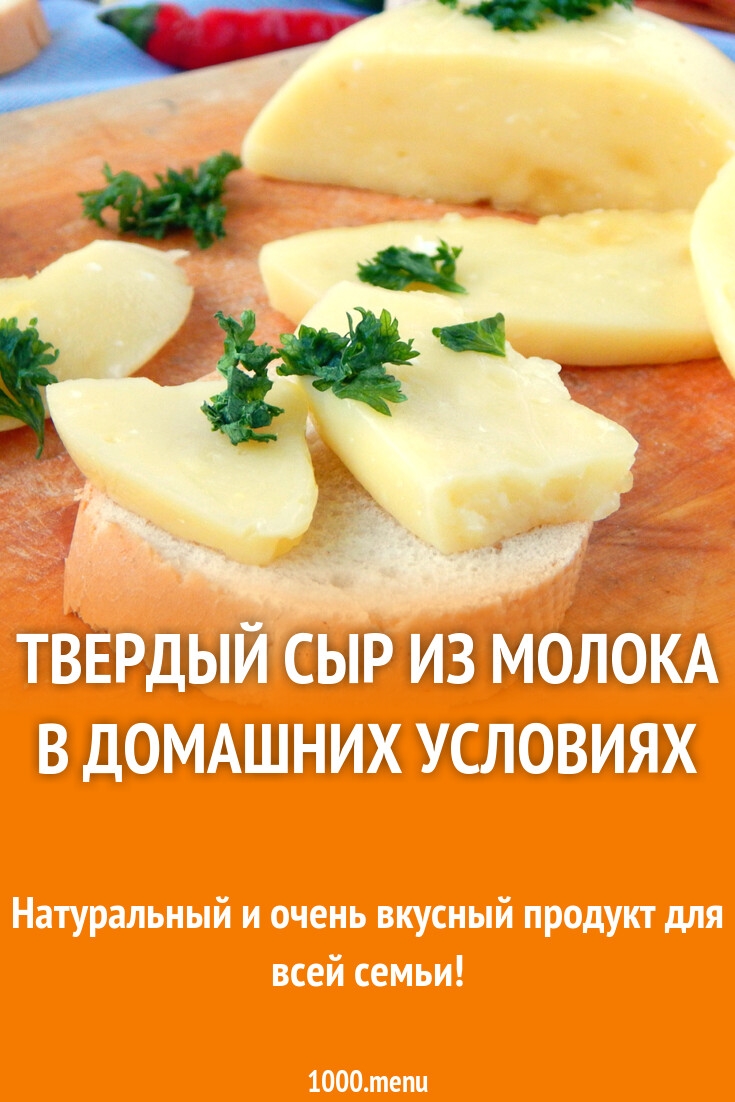 Рецепт сыра из молока в домашних условиях