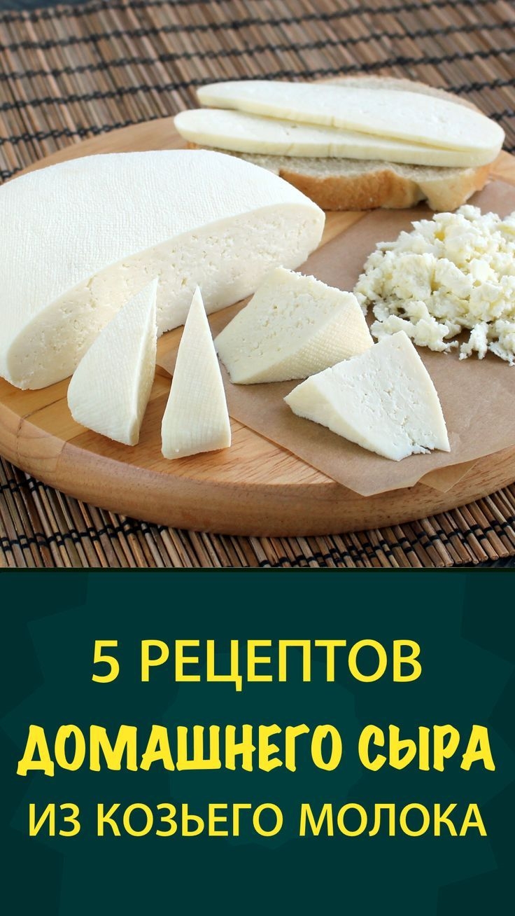 Сделать сыр из молока