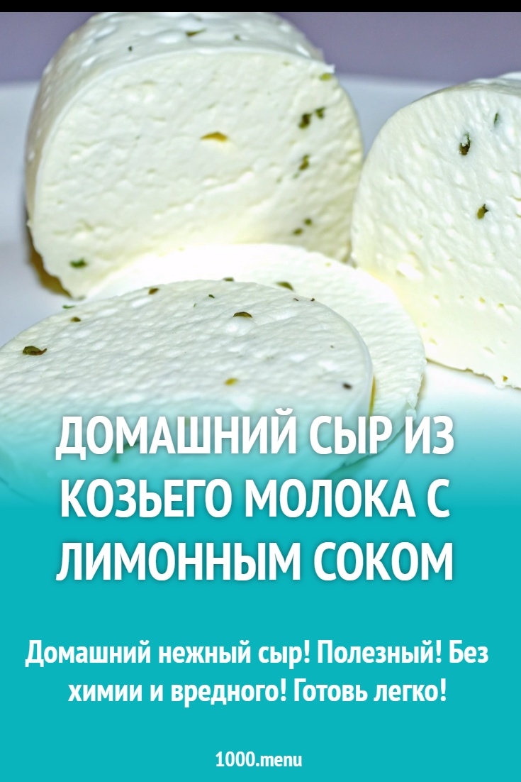 Сыр из молока быстро