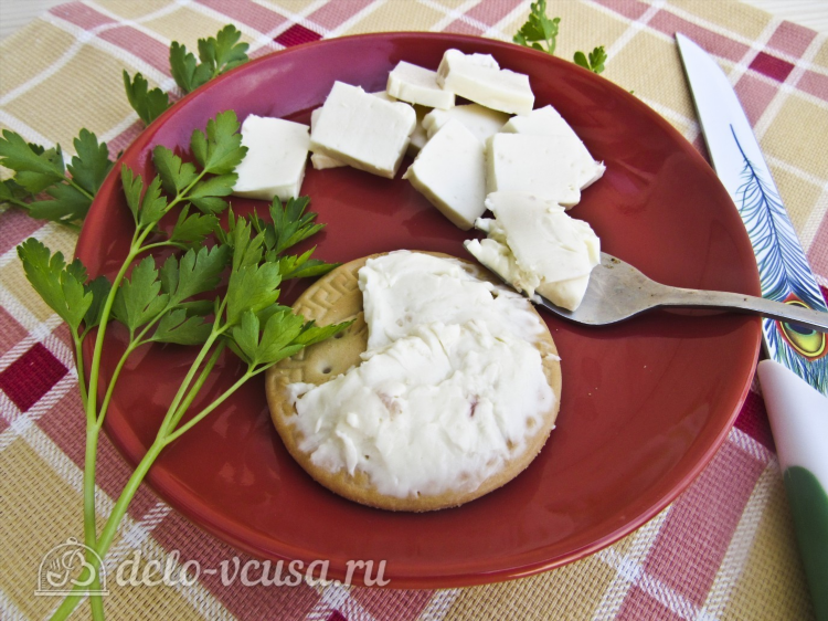 Сыр из творога плавленный в домашних