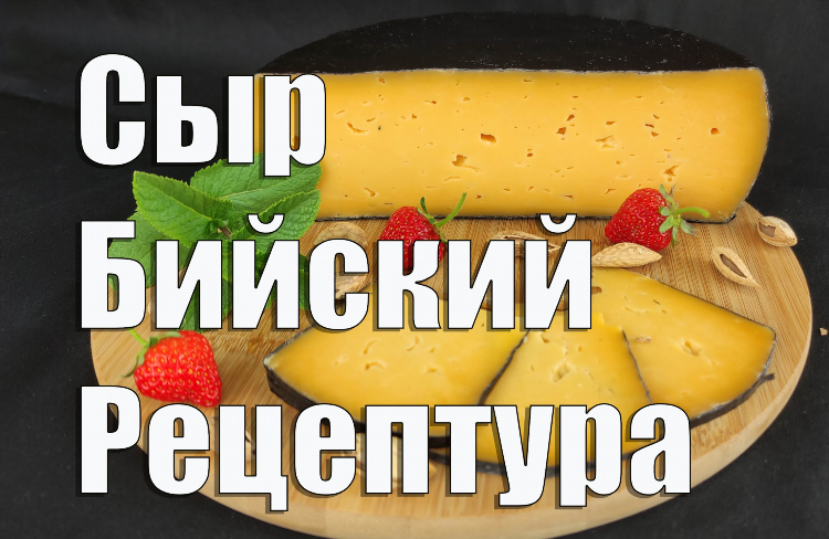 Сыр полутвердый в домашних условиях